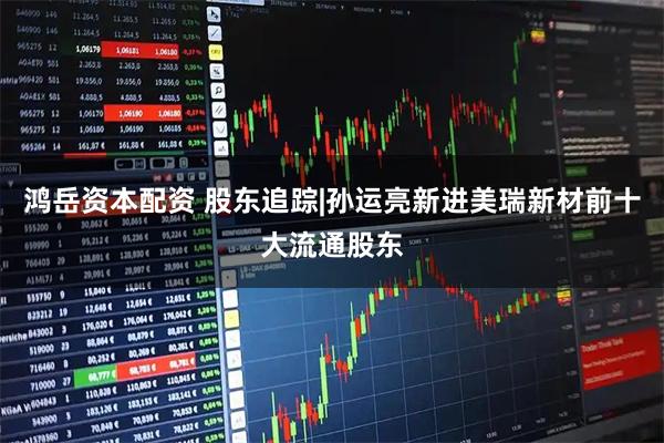 鸿岳资本配资 股东追踪|孙运亮新进美瑞新材前十大流通股东