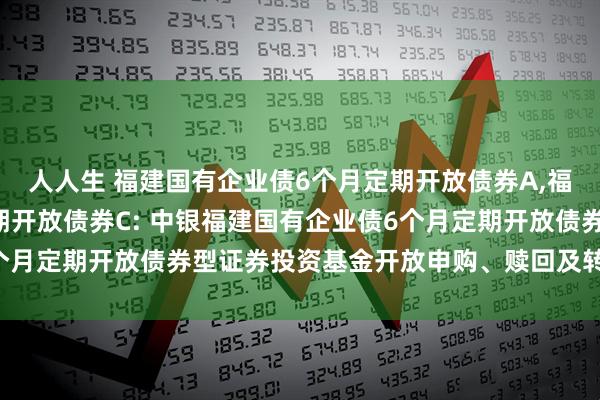 人人生 福建国有企业债6个月定期开放债券A,福建国有企业债6个月定期开放债券C: 中银福建国有企业债6个月定期开放债券型证券投资基金开放申购、赎回及转换业务公告