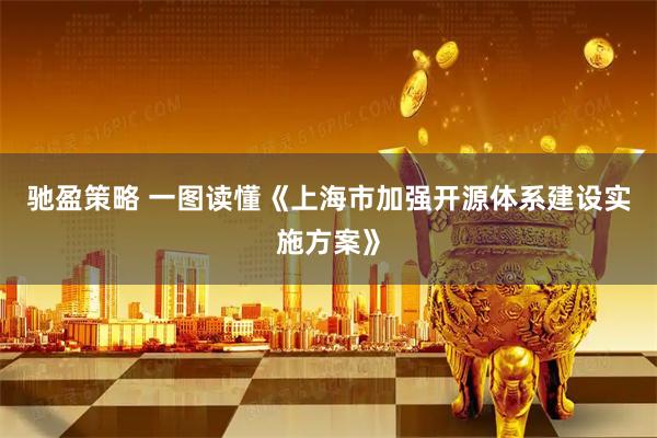 驰盈策略 一图读懂《上海市加强开源体系建设实施方案》